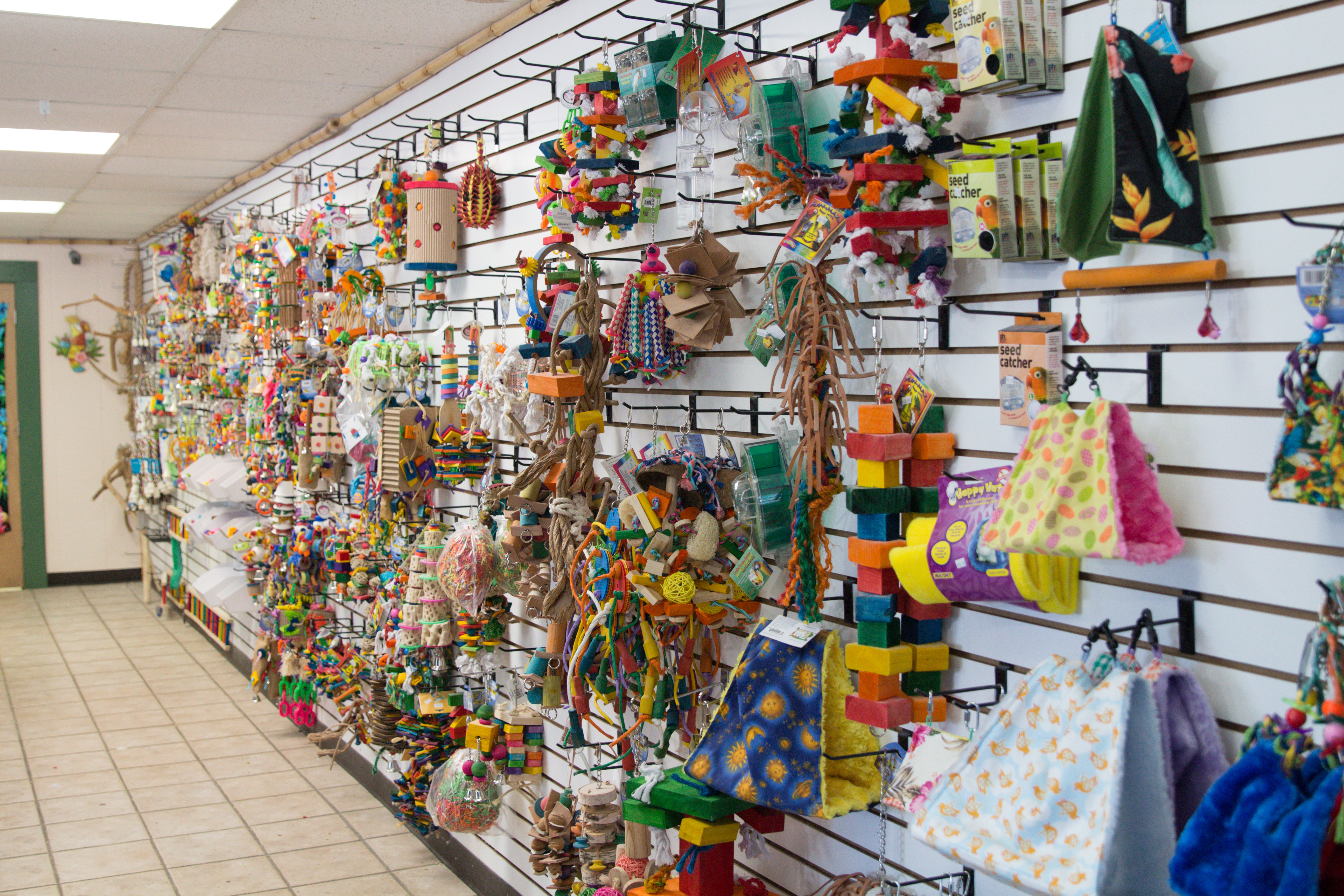 parrot store
