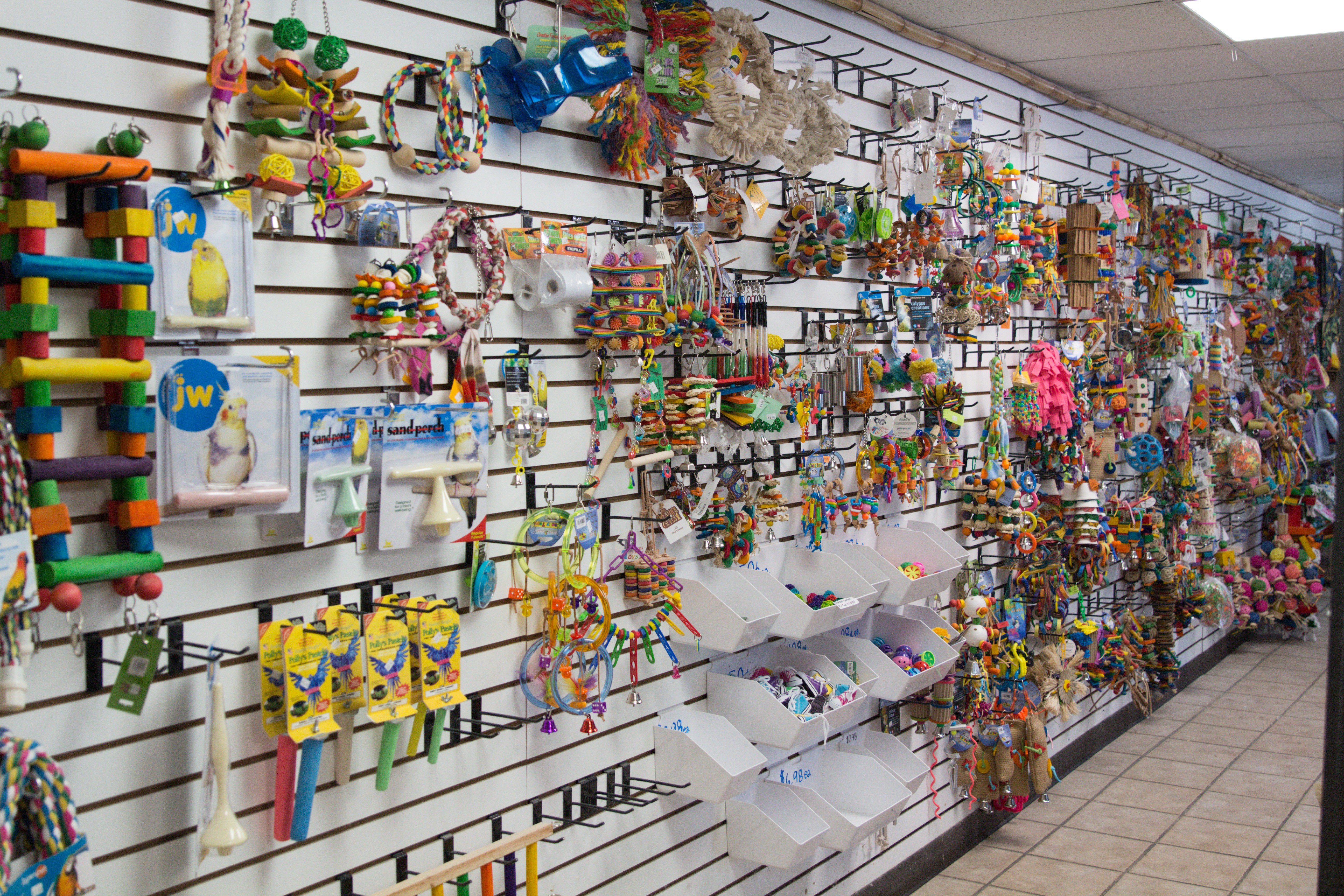 parrot store
