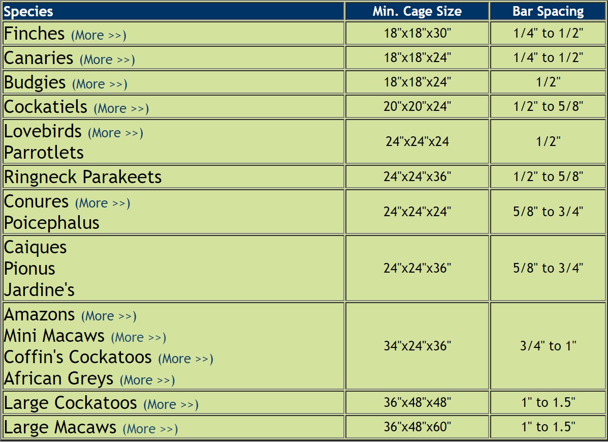 Beautiful view of Best Bird Cage Size Chart