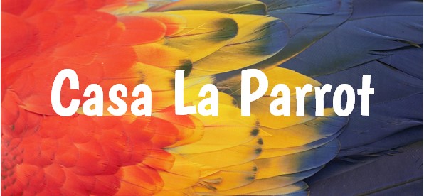 Casa La Parrot